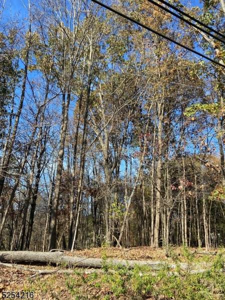 0 Terhune Dr, Wayne Twp., NJ 07470