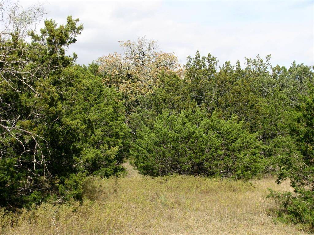 Lot 140 Ph 6 County Road 421, Evant, TX 76566