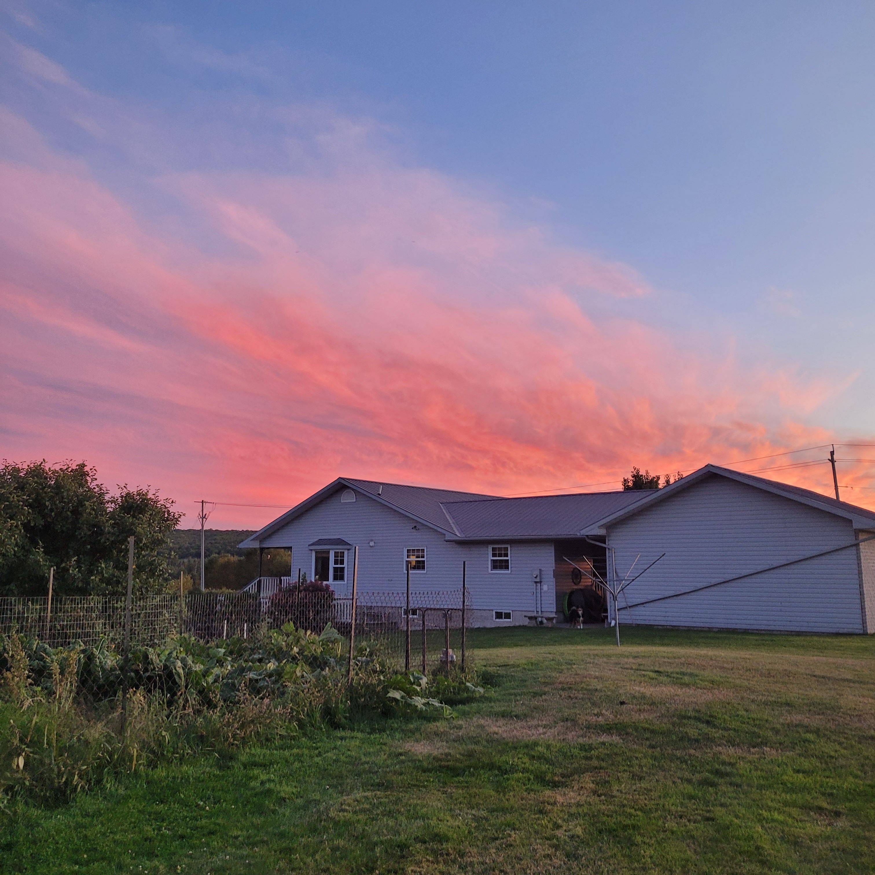 771 Leggetts RD, Armour, ON P0A 1C0