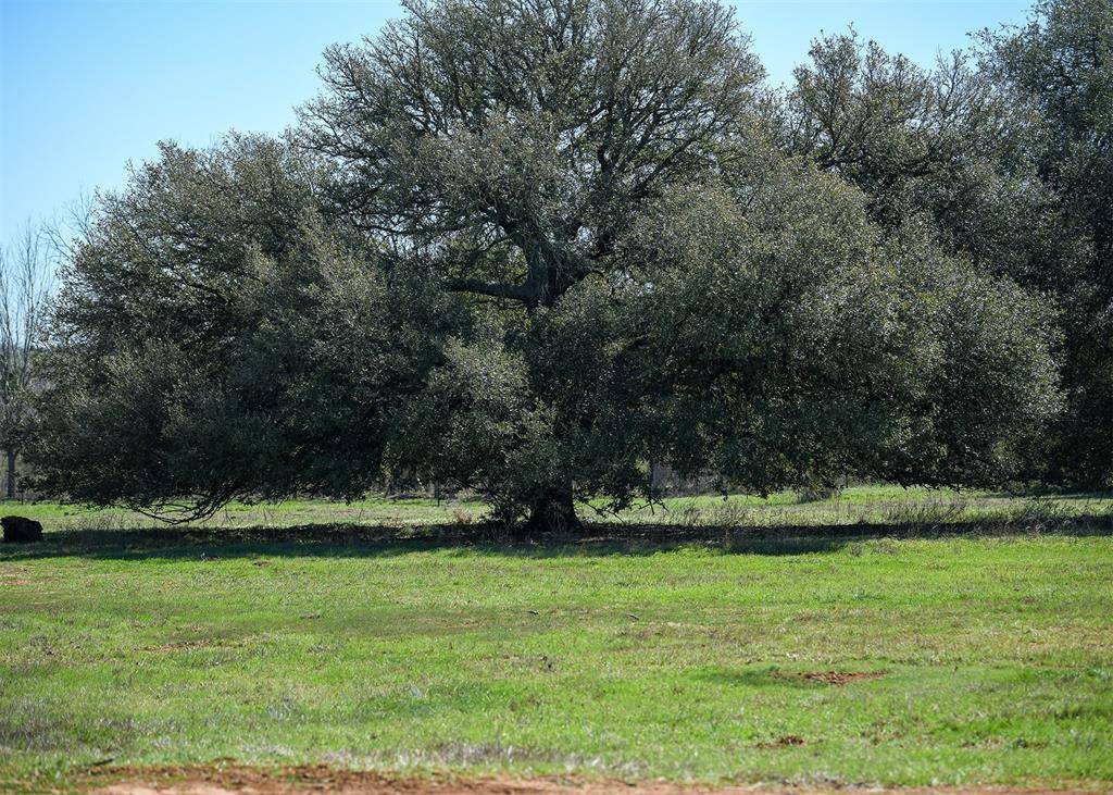 316 Main Loop Loop, Waelder, TX 78959