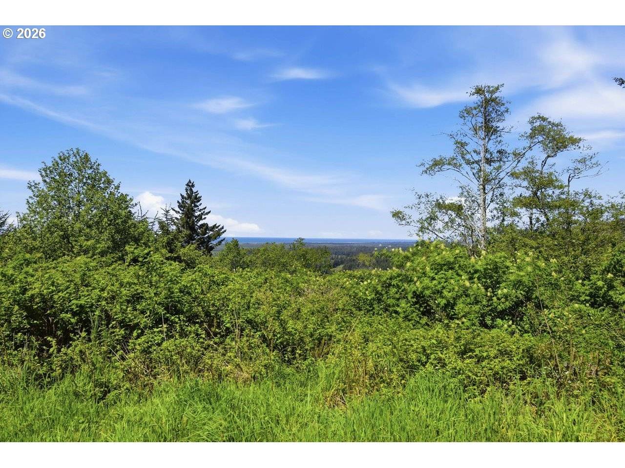 Pacific View, Langlois, OR 97450