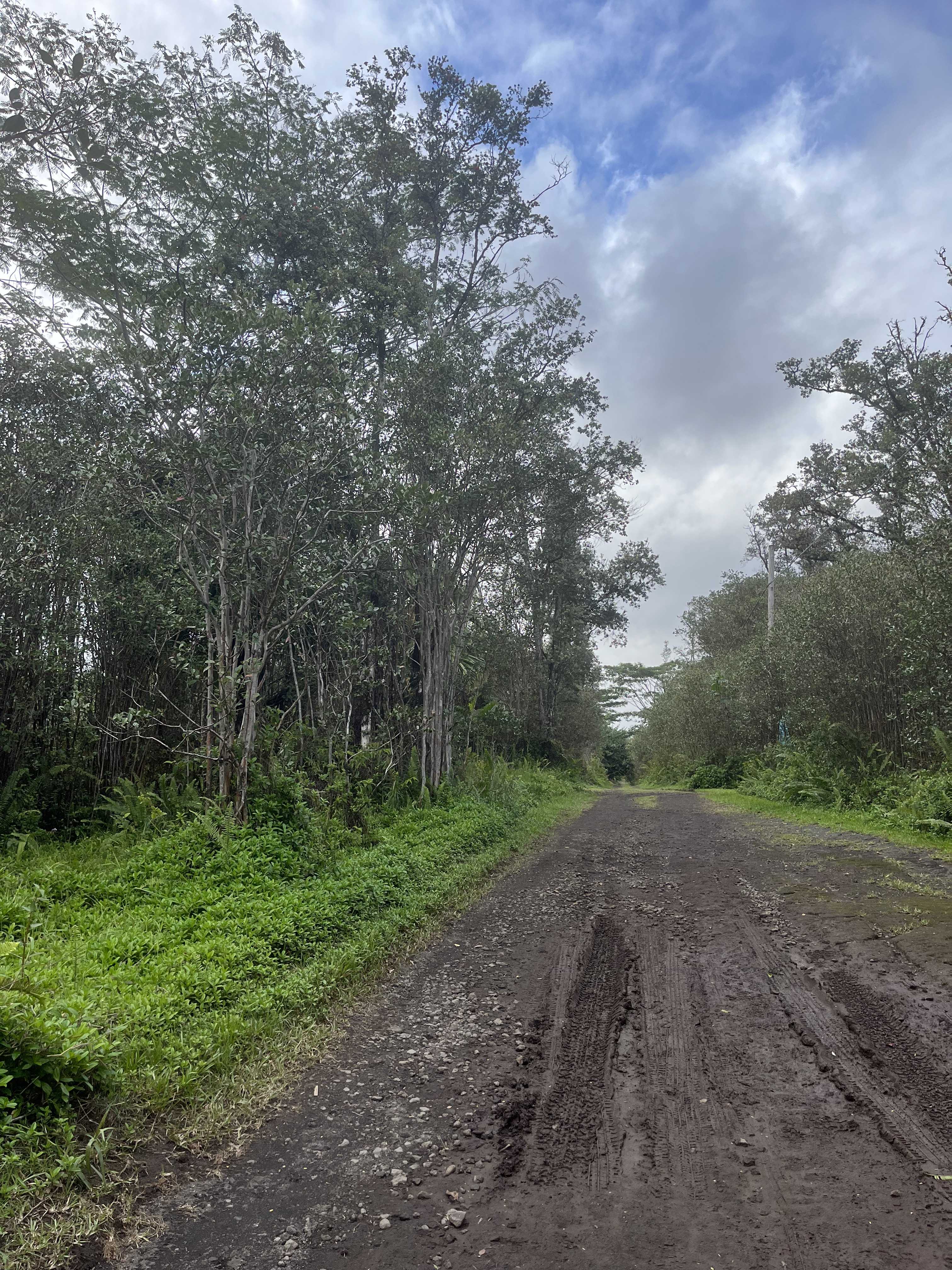 ROAD 10 (POOULI), Kurtistown, HI 96760
