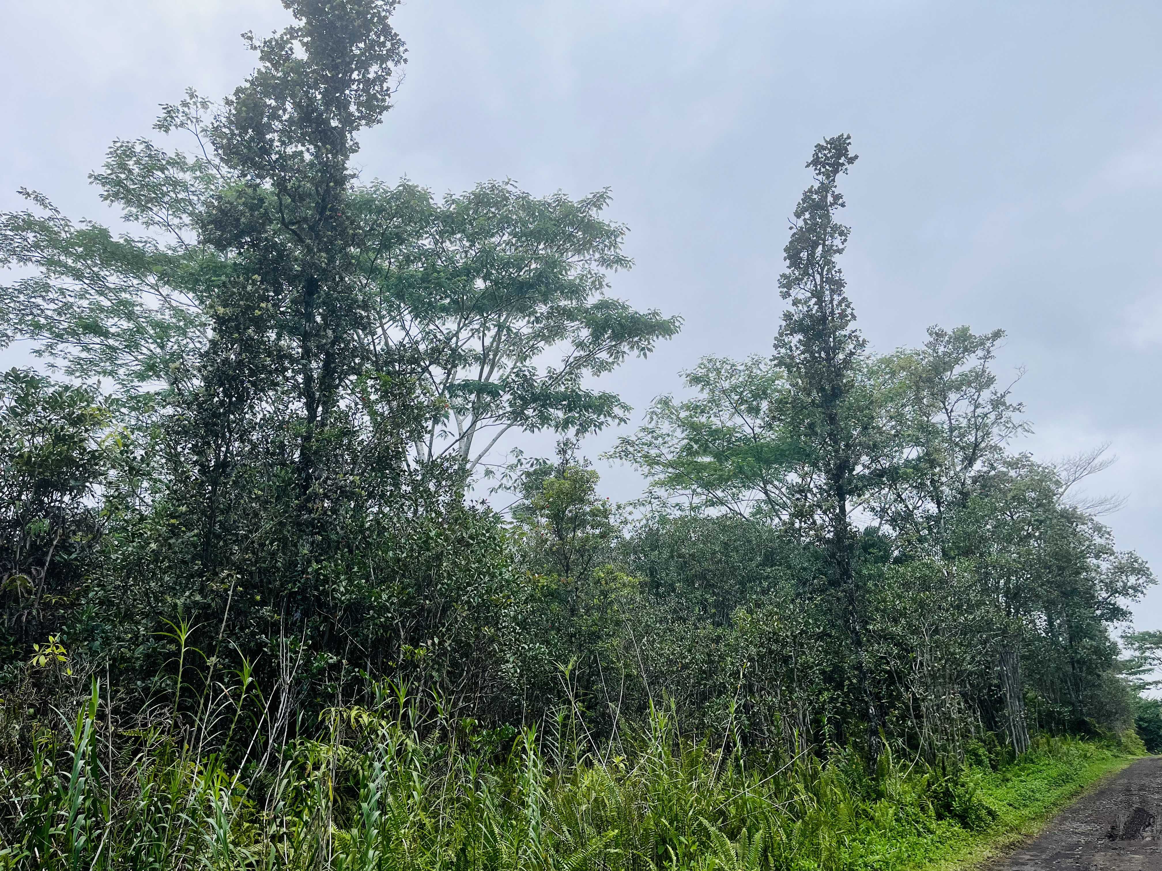 ROAD 10 (POOULI), Kurtistown, HI 96760