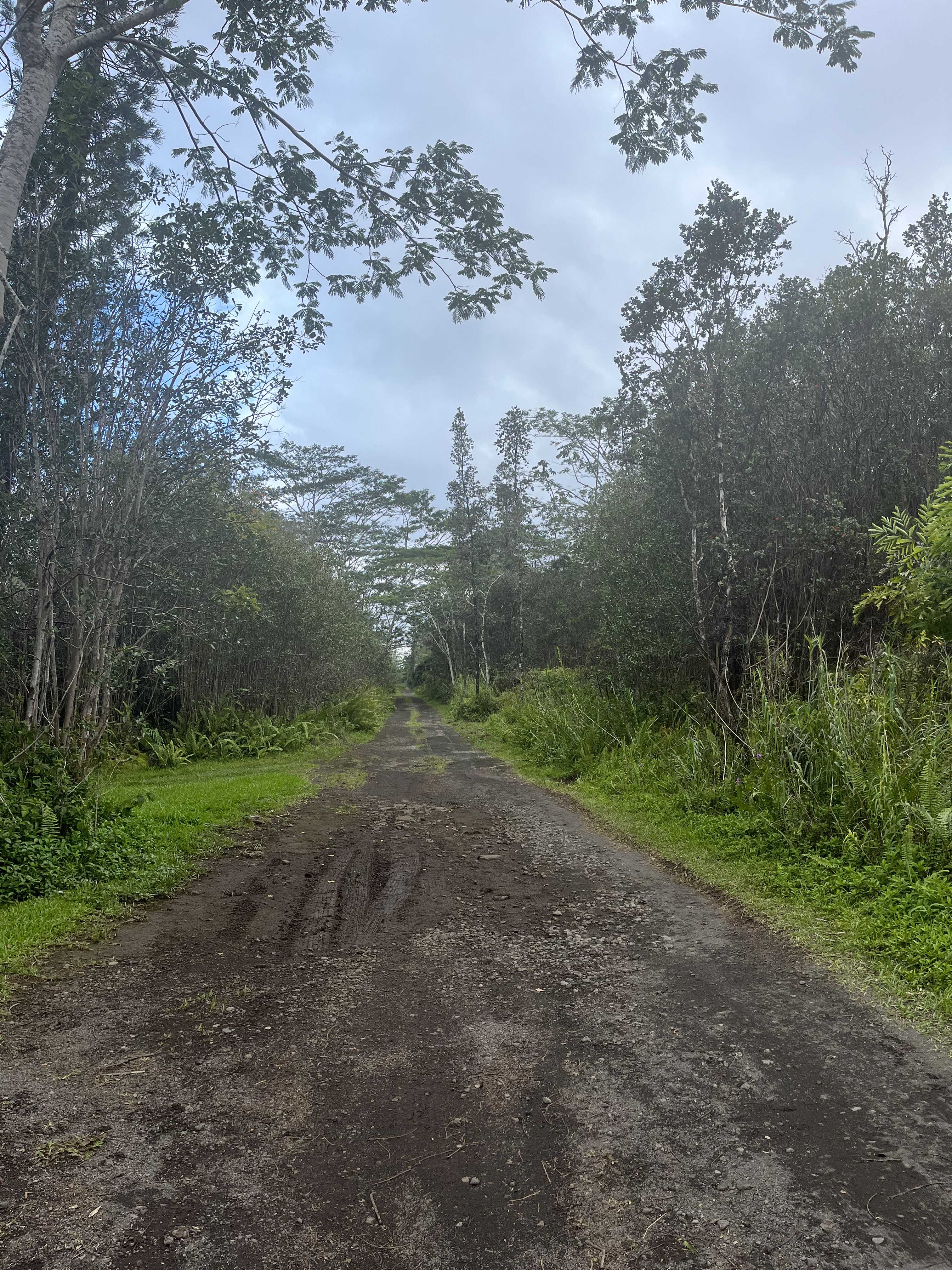 ROAD 10 (POOULI), Kurtistown, HI 96760