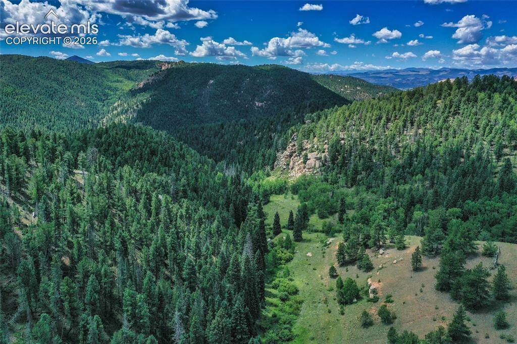 265 Homestead RD, Divide, CO 80814