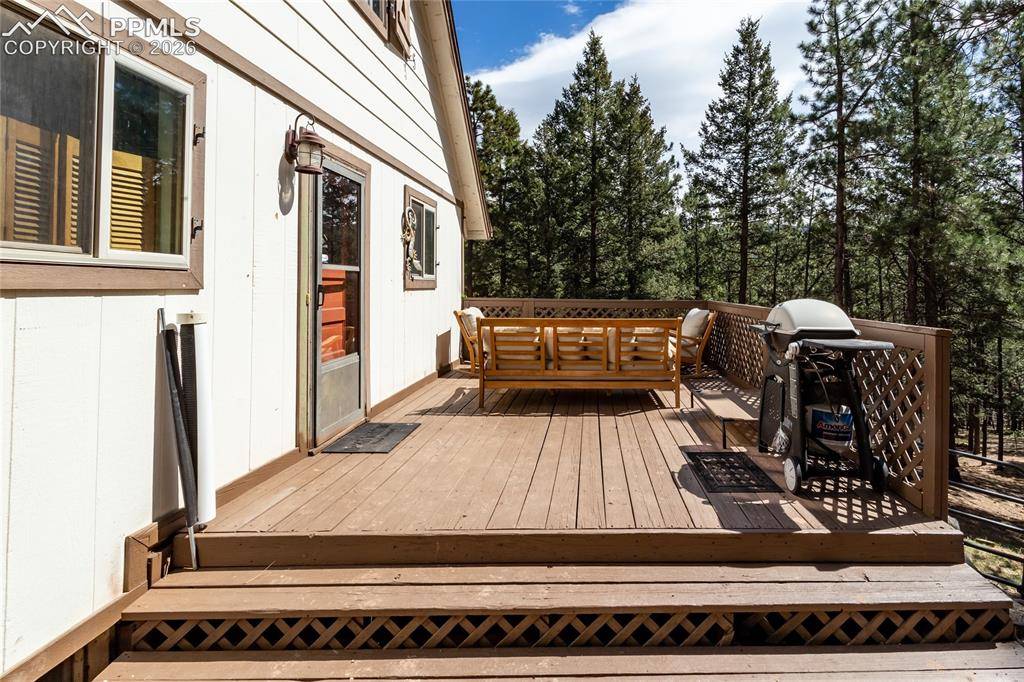 161 Summer Haven DR, Woodland Park, CO 80863
