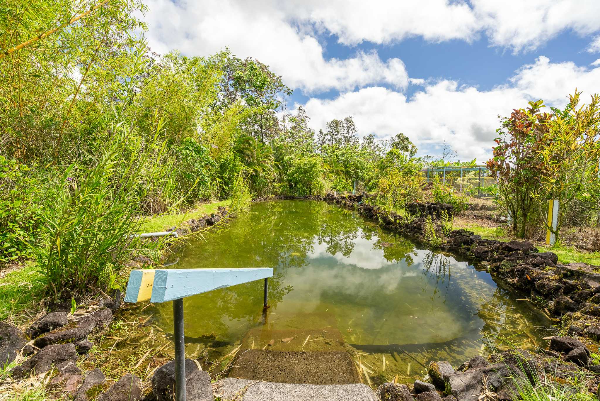 16-1755 KOLOA MAOLI RD, Kurtistown, HI 96760