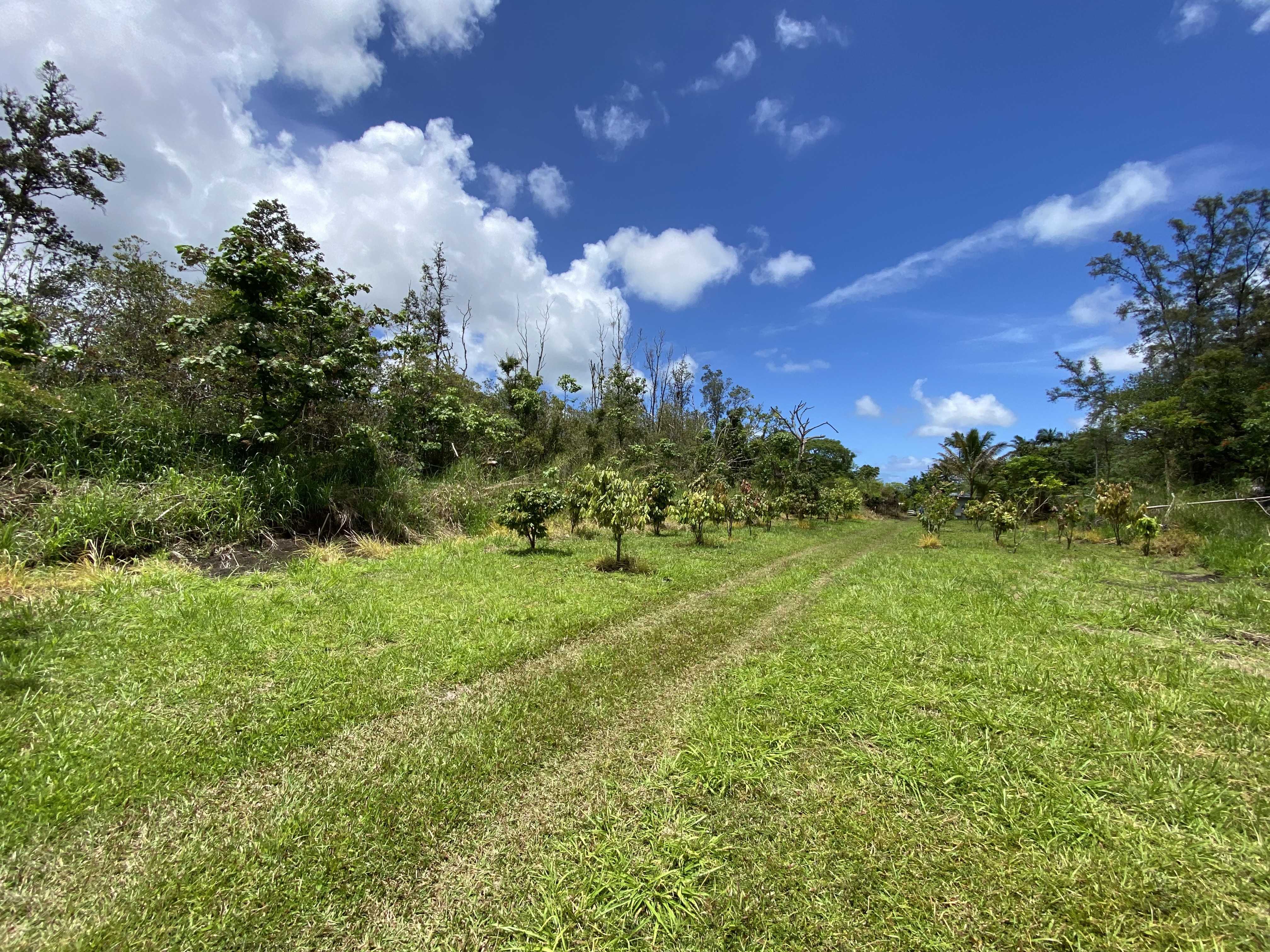 16-1606 37TH AVE, Keaau, HI 96749
