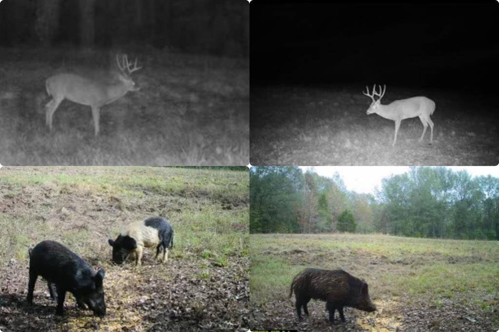 00 Hwy 69 / CR 484, Mineola, TX 75773
