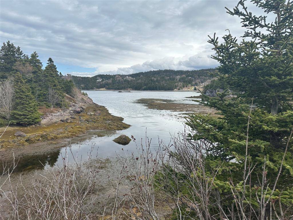 12-16 Back Cove Road, Avondale, NL A0A 1B0