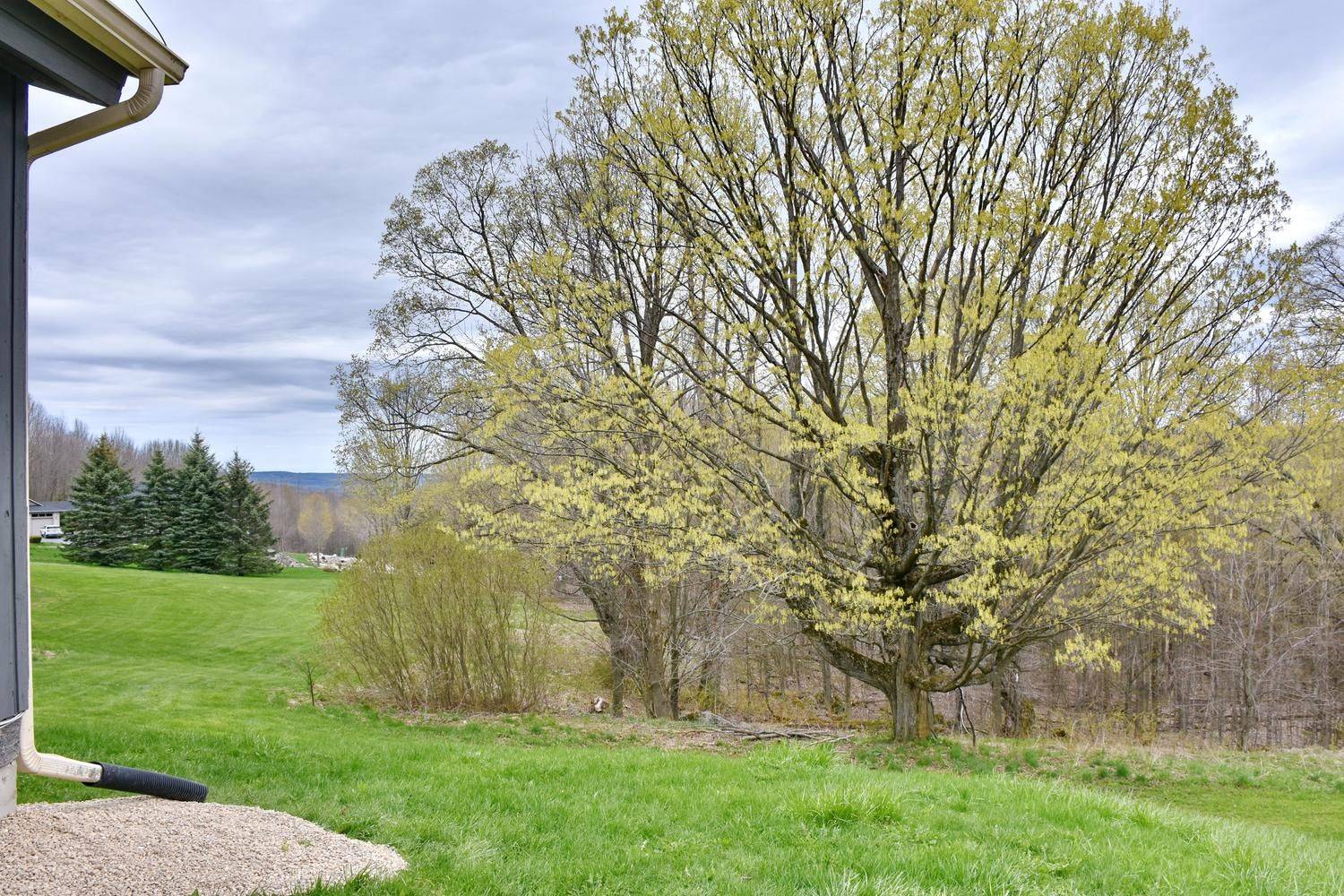 446070 Johnston's Side Road, Grey Highlands, ON N0C 1E0