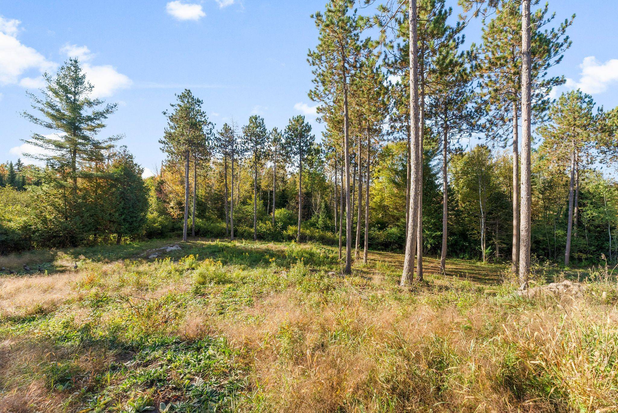 413 Swamp RD, Admaston/bromley, ON K7V 2L9