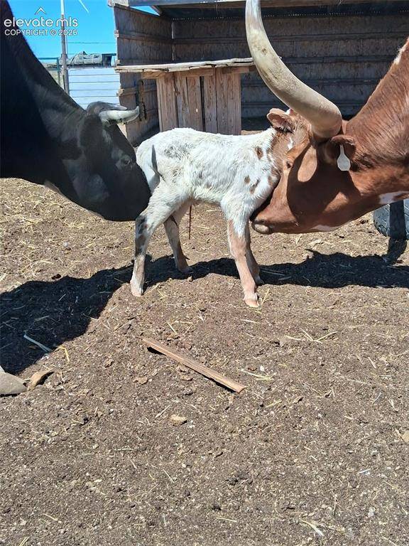 5350 N Yoder RD, Calhan, CO 80808