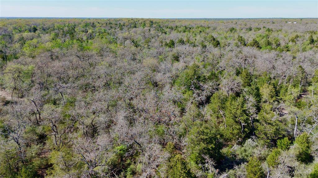 100 PR 617, Kosse, TX 76653
