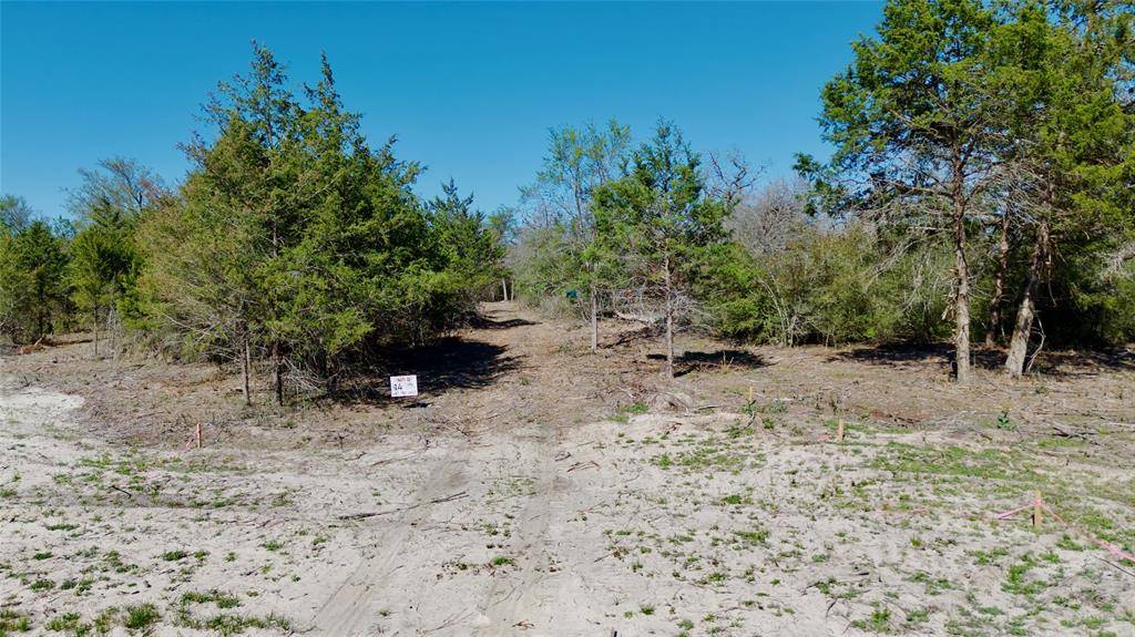 100 PR 617, Kosse, TX 76653