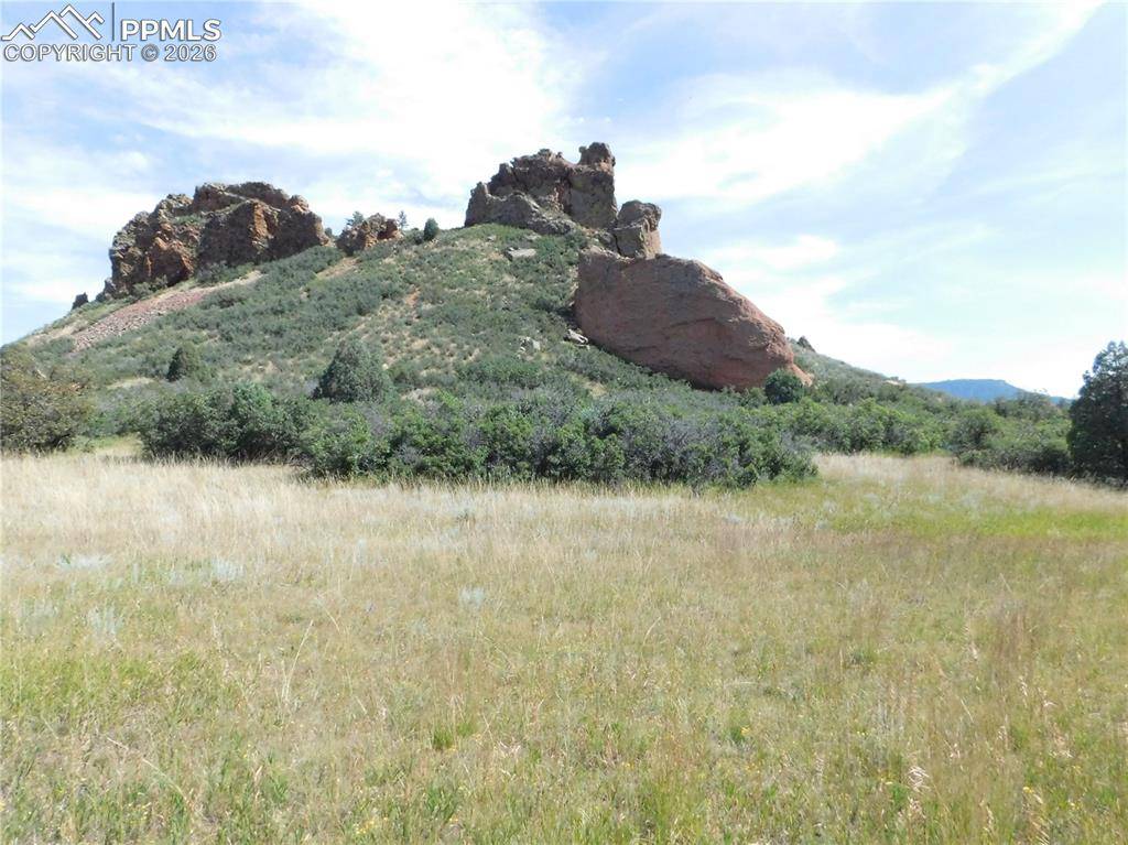 5967 Country Club DR, Larkspur, CO 80118