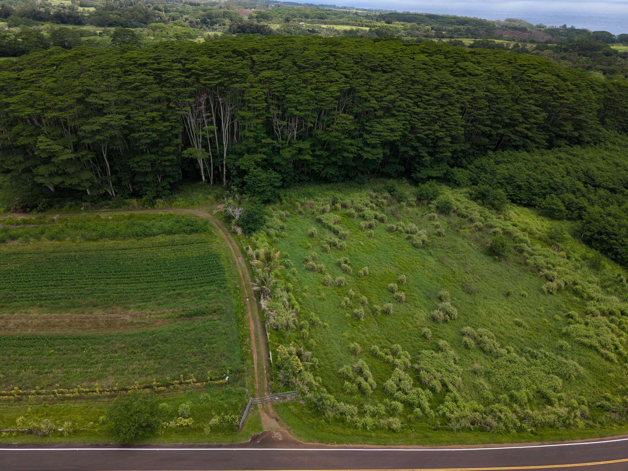 AKAKA FALLS ROAD, Honomu, HI 96728