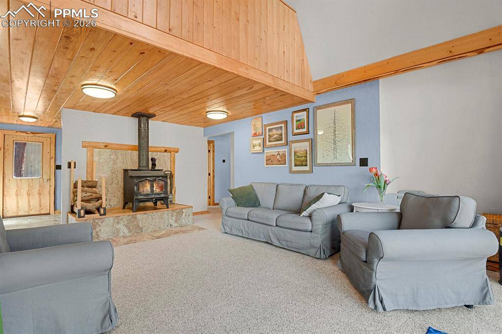 881 Trail Creek RD, Lake George, CO 80827