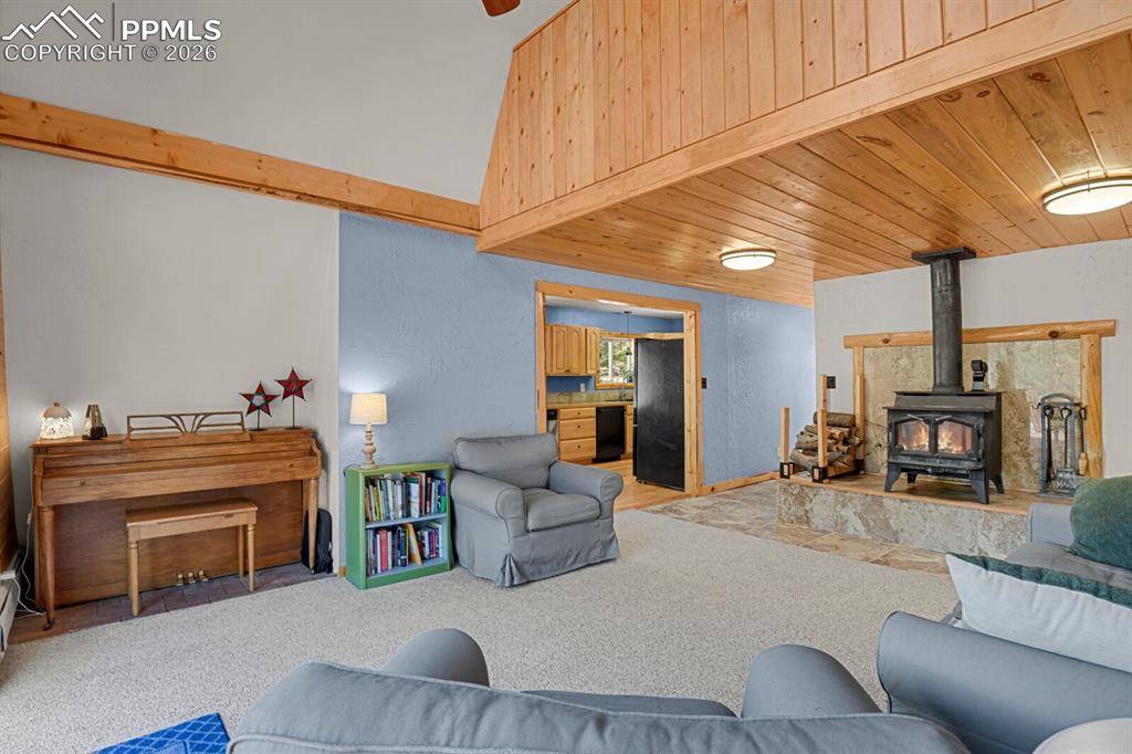 881 Trail Creek RD, Lake George, CO 80827