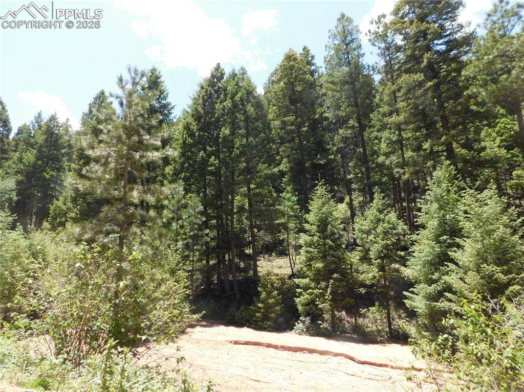 13175 Spruce Creek CIR, Larkspur, CO 80118