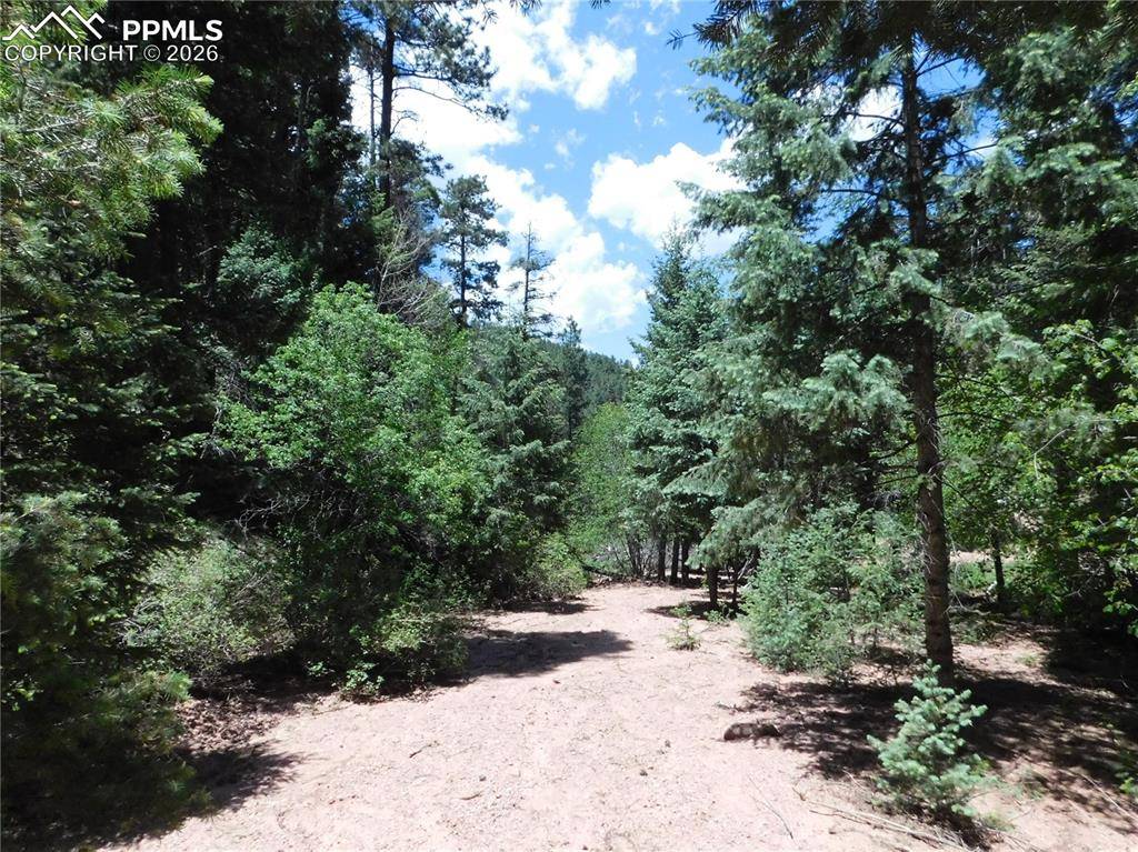 13175 Spruce Creek CIR, Larkspur, CO 80118