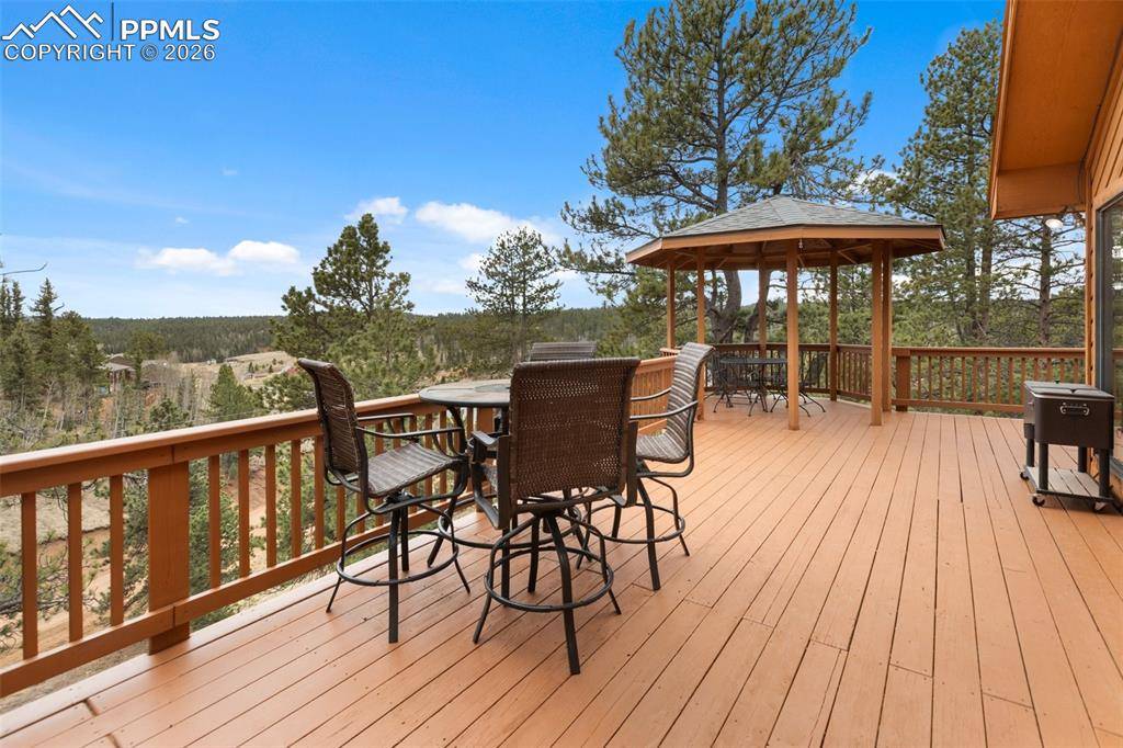 164 Spring Valley CIR, Divide, CO 80814