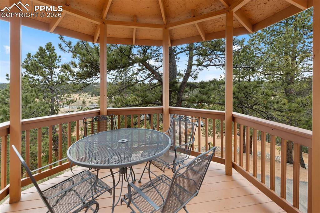 164 Spring Valley CIR, Divide, CO 80814