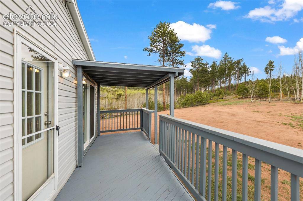 100 Wolverine DR, Florissant, CO 80816