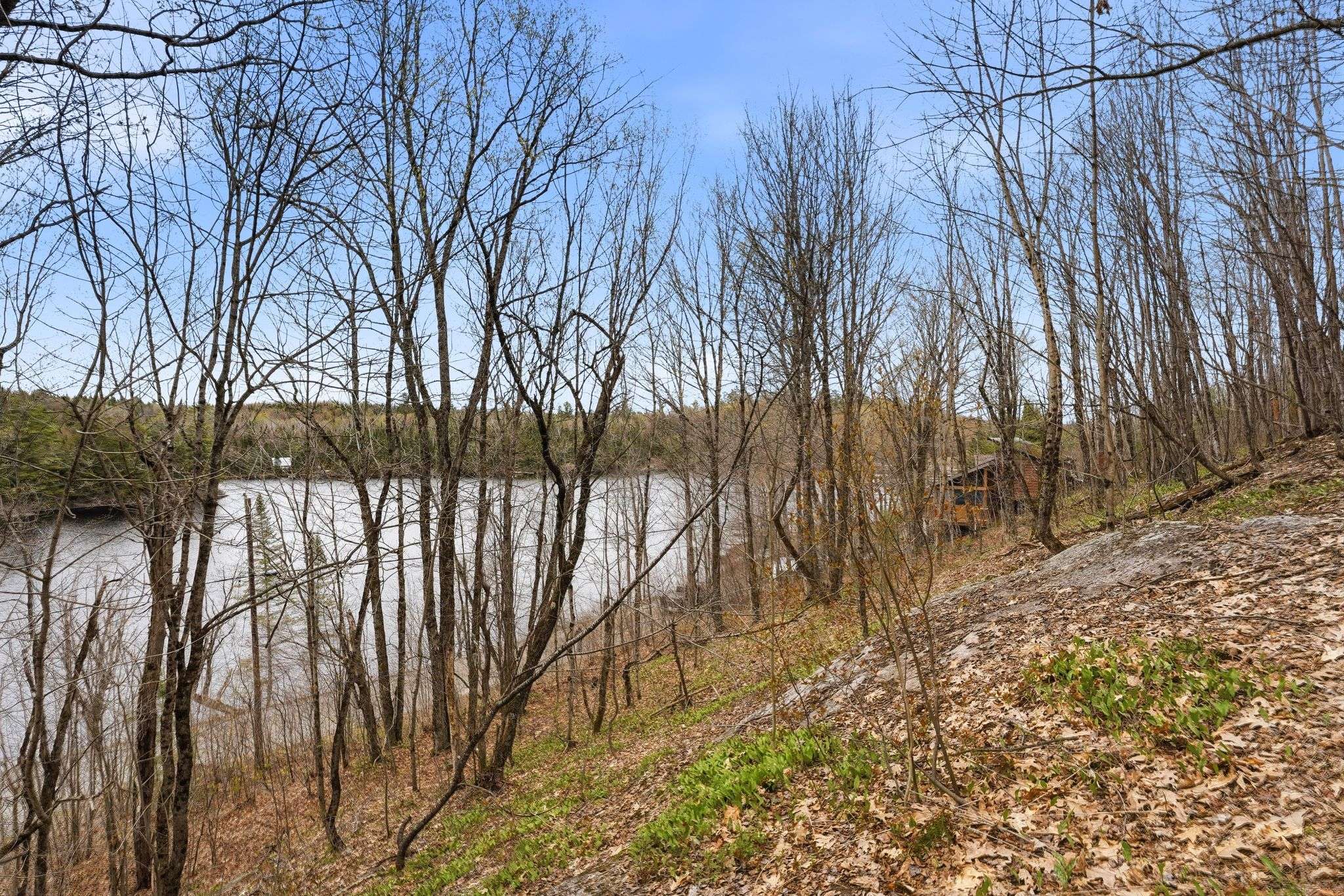 PT LT 6 Brady Lake RD, Minden Hills, ON K0M 2K0