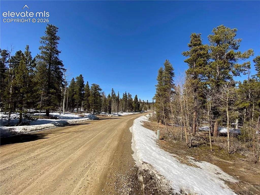 2202 High Creek RD, Fairplay, CO 80440