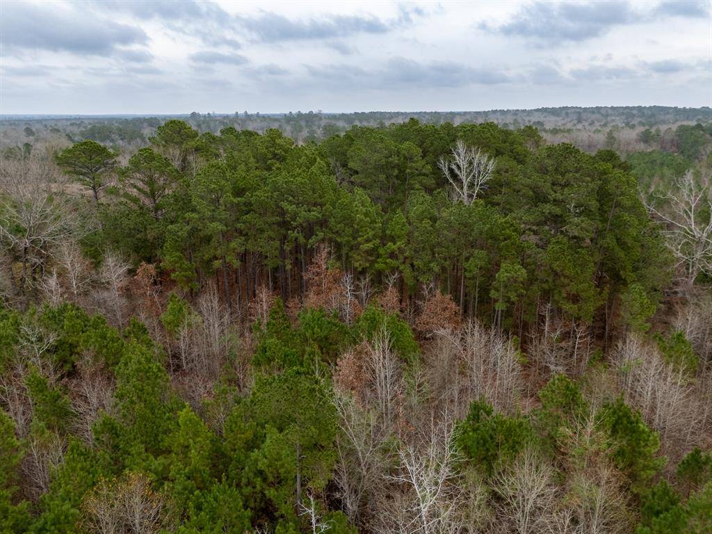 6052 Blocker Road, Marshall, TX 75672