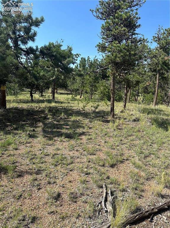 315 Thunder Ridge RD, Florissant, CO 80816