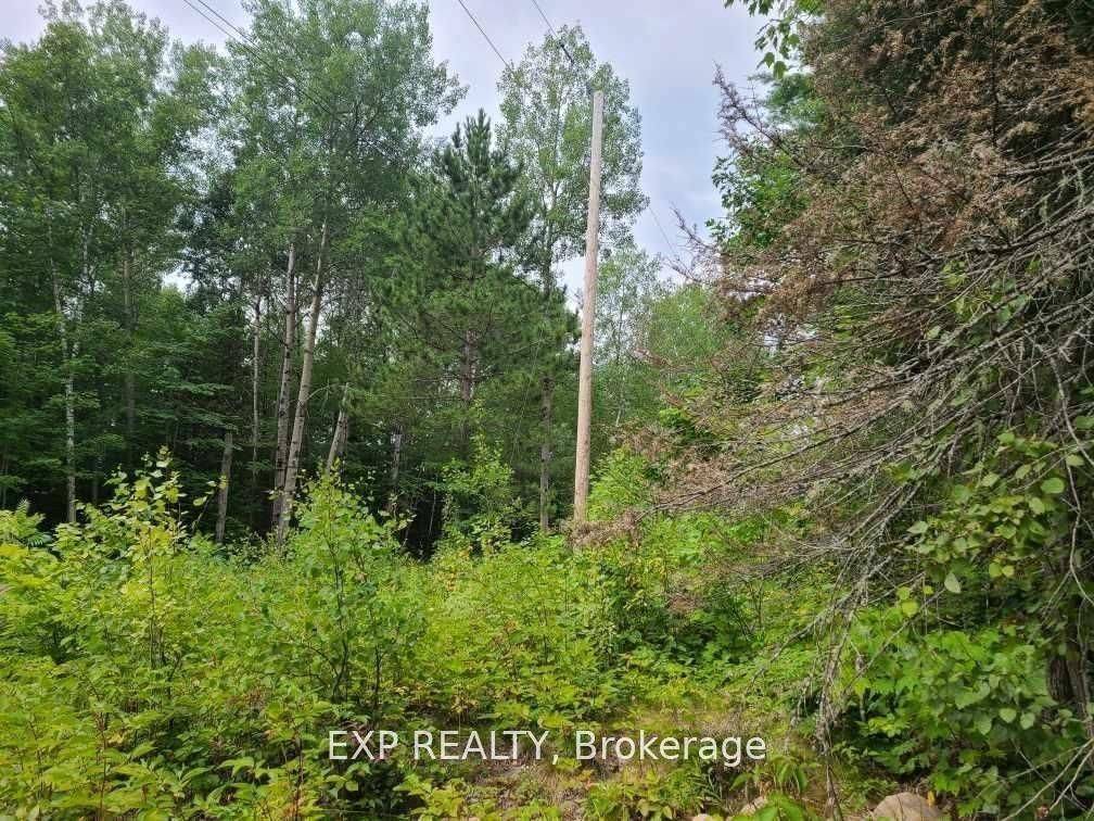 20 Peplinskie Homestead RD, Madawaska Valley, ON K0J 1B0