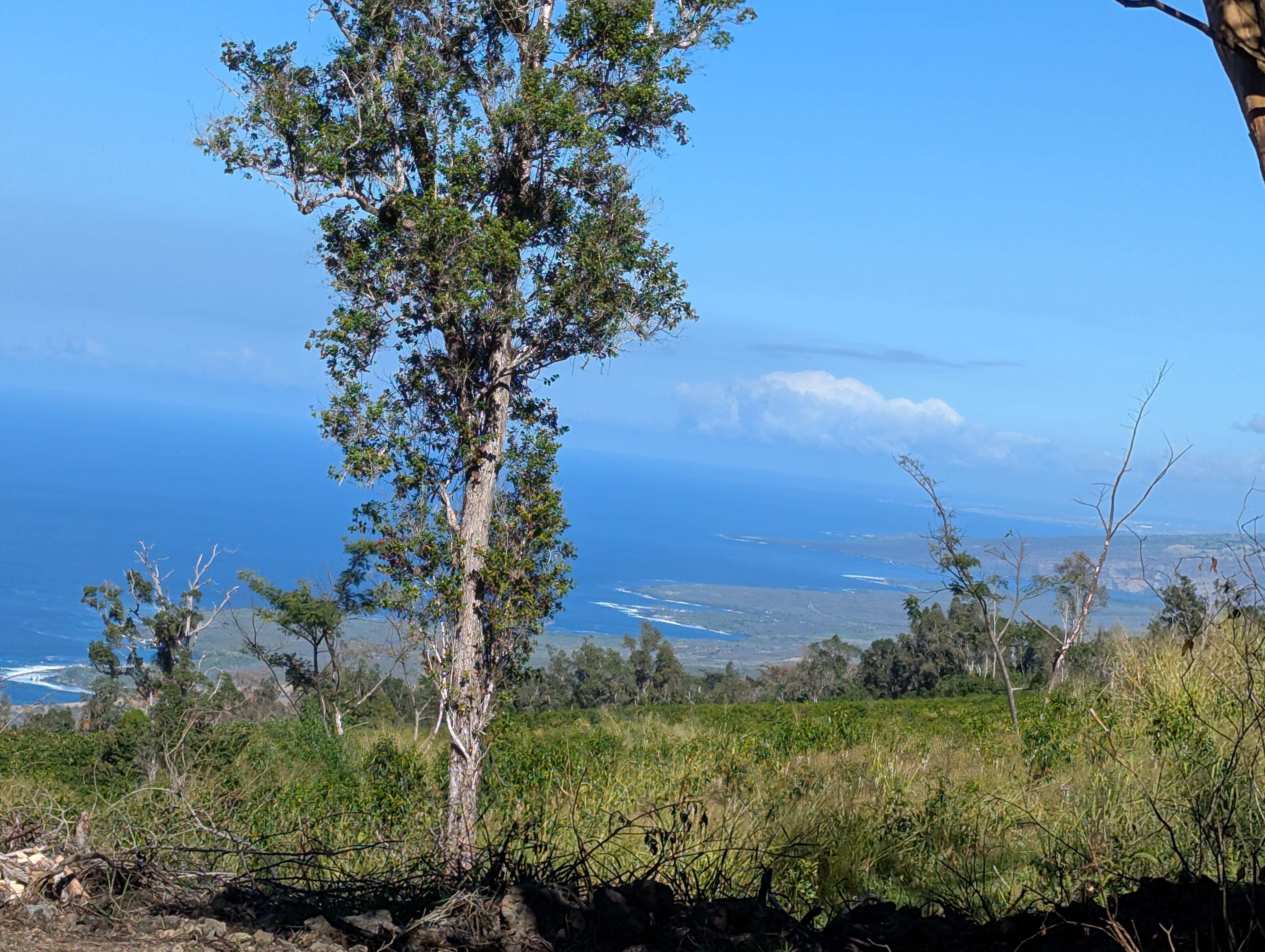 87-1081 HALEILI RD, Captain Cook, HI 96704
