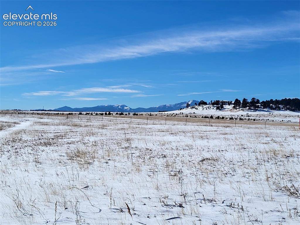 19250 Mariah TRL, Colorado Springs, CO 80908
