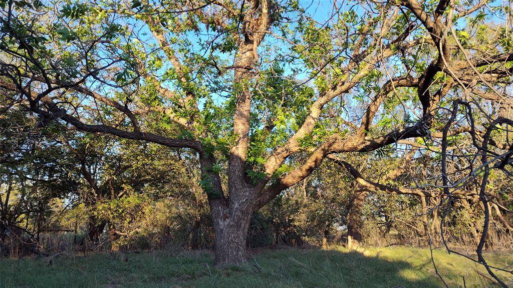 5428 CR 364, Anson, TX 79501