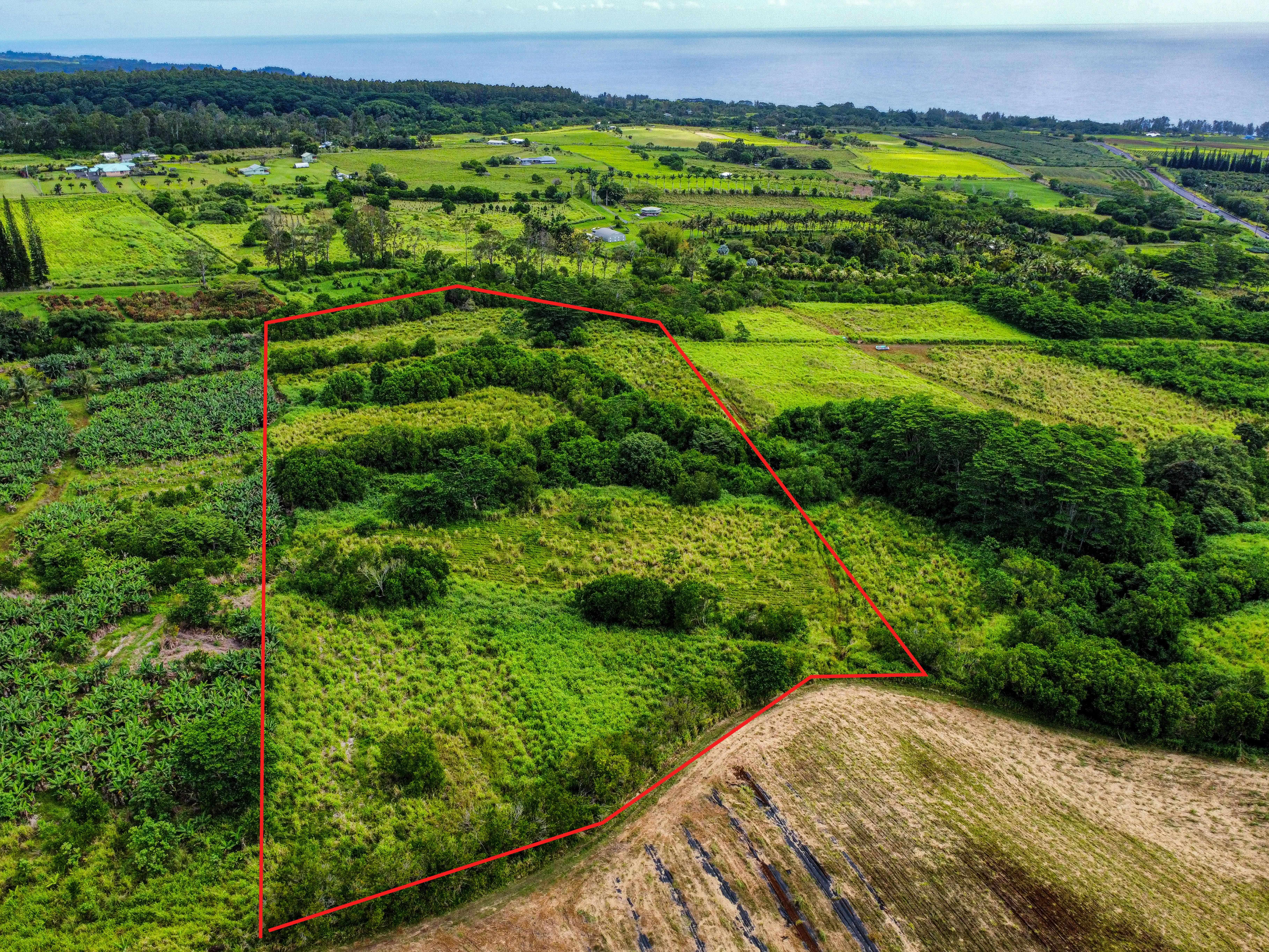 PAIKIO RD, Pepeekeo, HI 96783