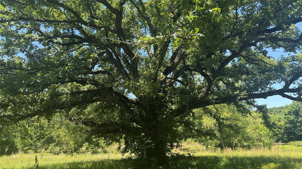 6582 Taylor Road, Kaufman, TX 75142