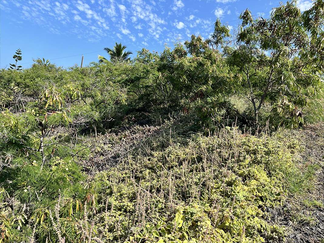KAOHE RD, Captain Cook, HI 96704