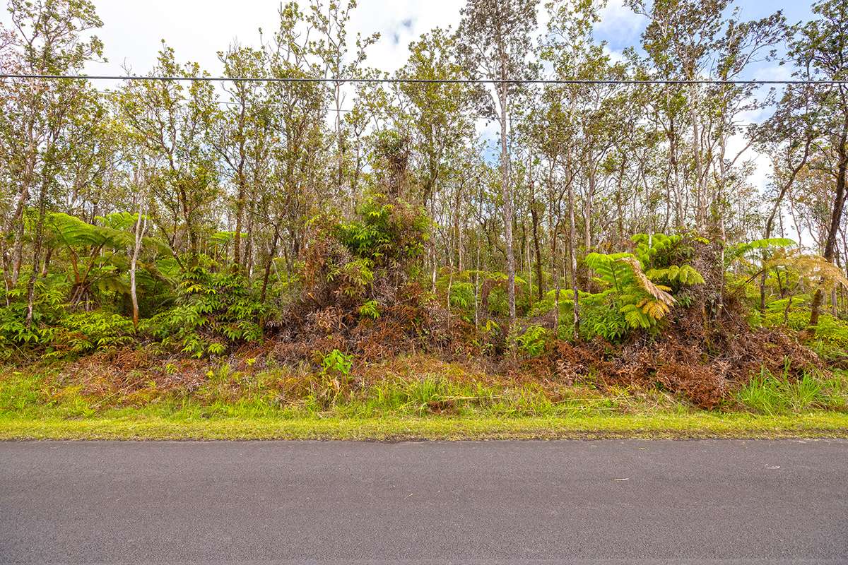 11-3143 ALAULA ST, Volcano, HI 96785