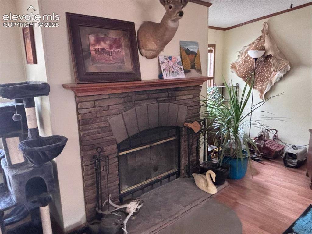 4758 Copper Gulch RD, Cotopaxi, CO 81223