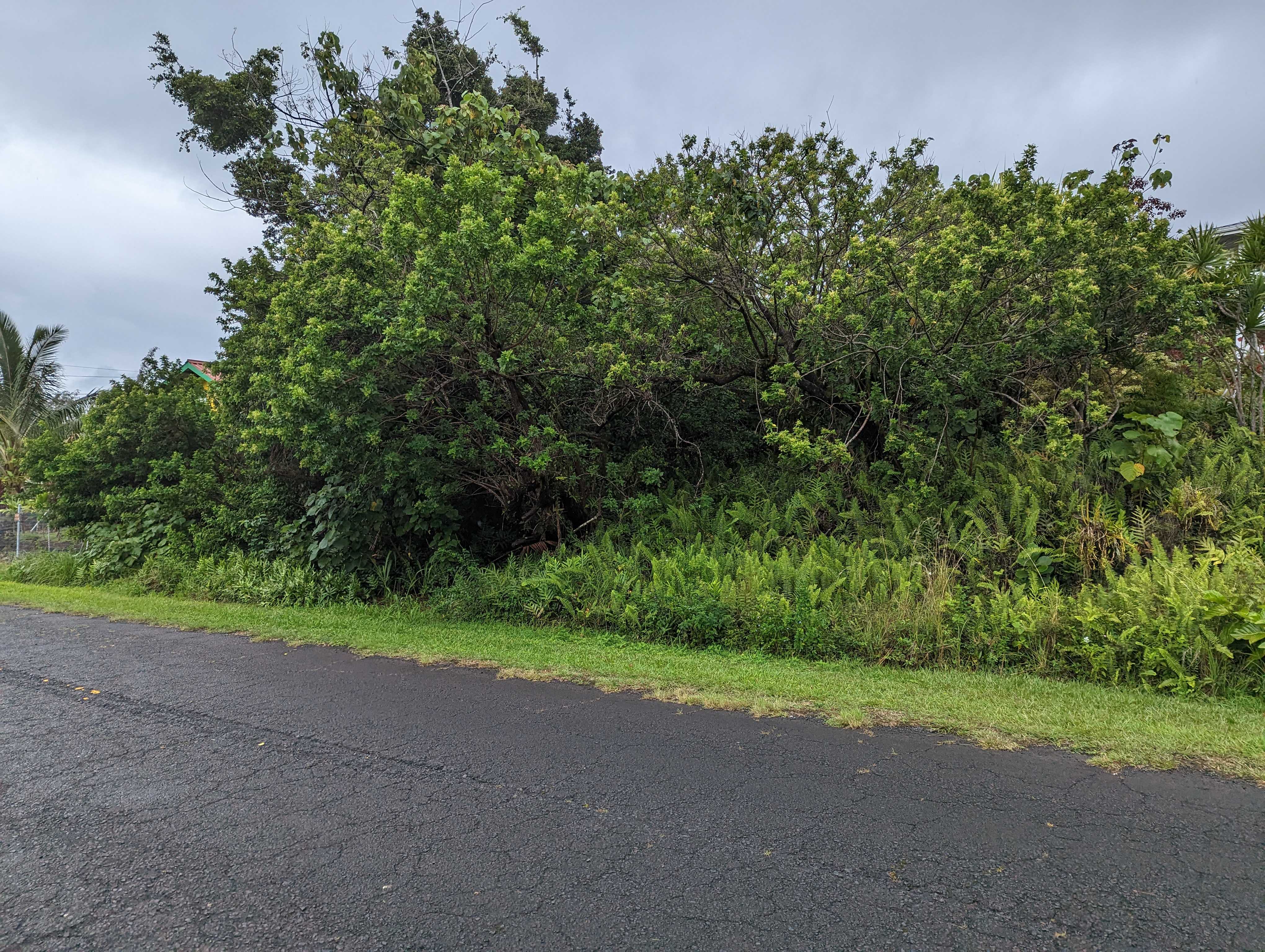 E MOANAULI LP, Pahoa, HI 96778