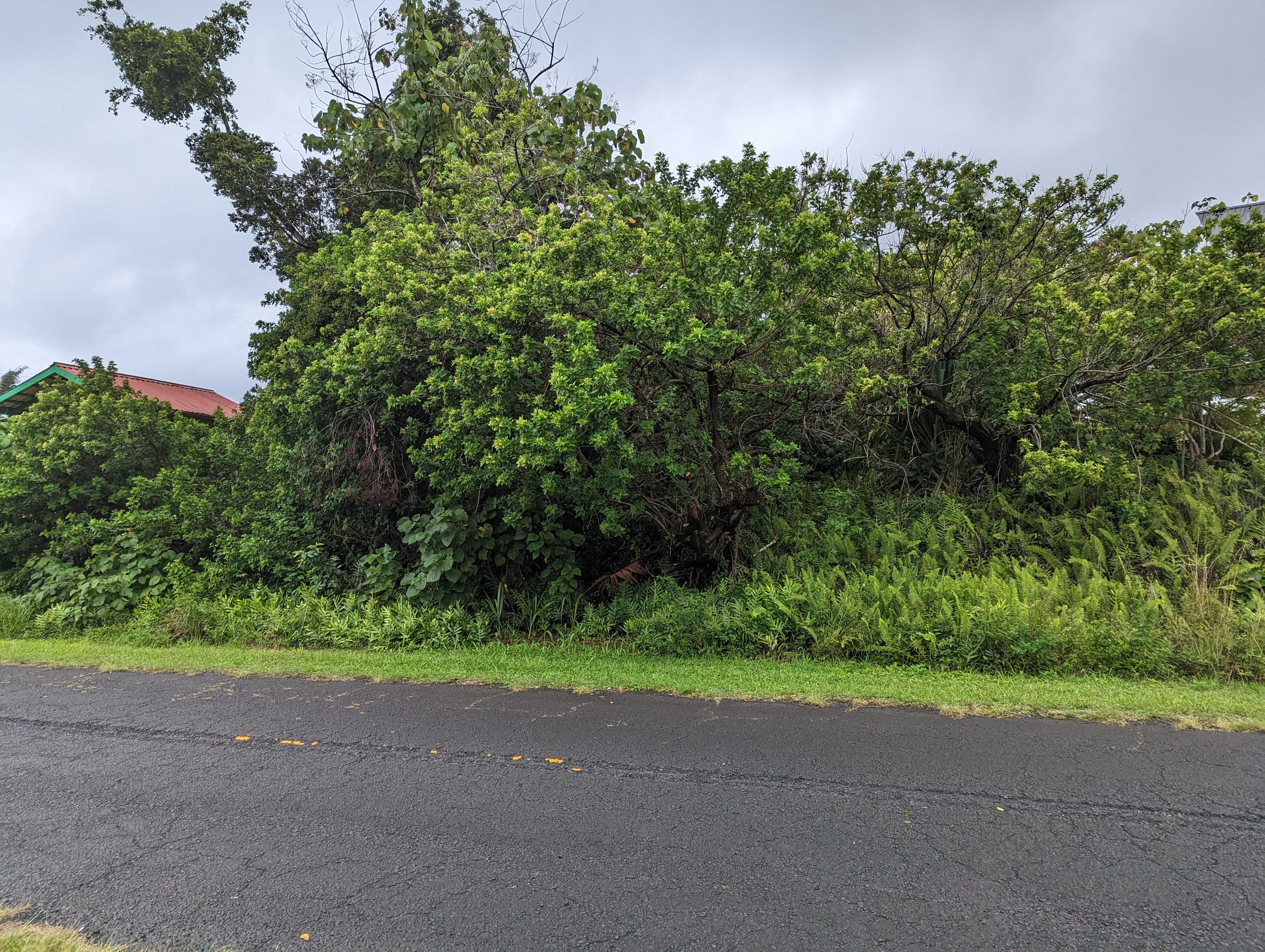E MOANAULI LP, Pahoa, HI 96778