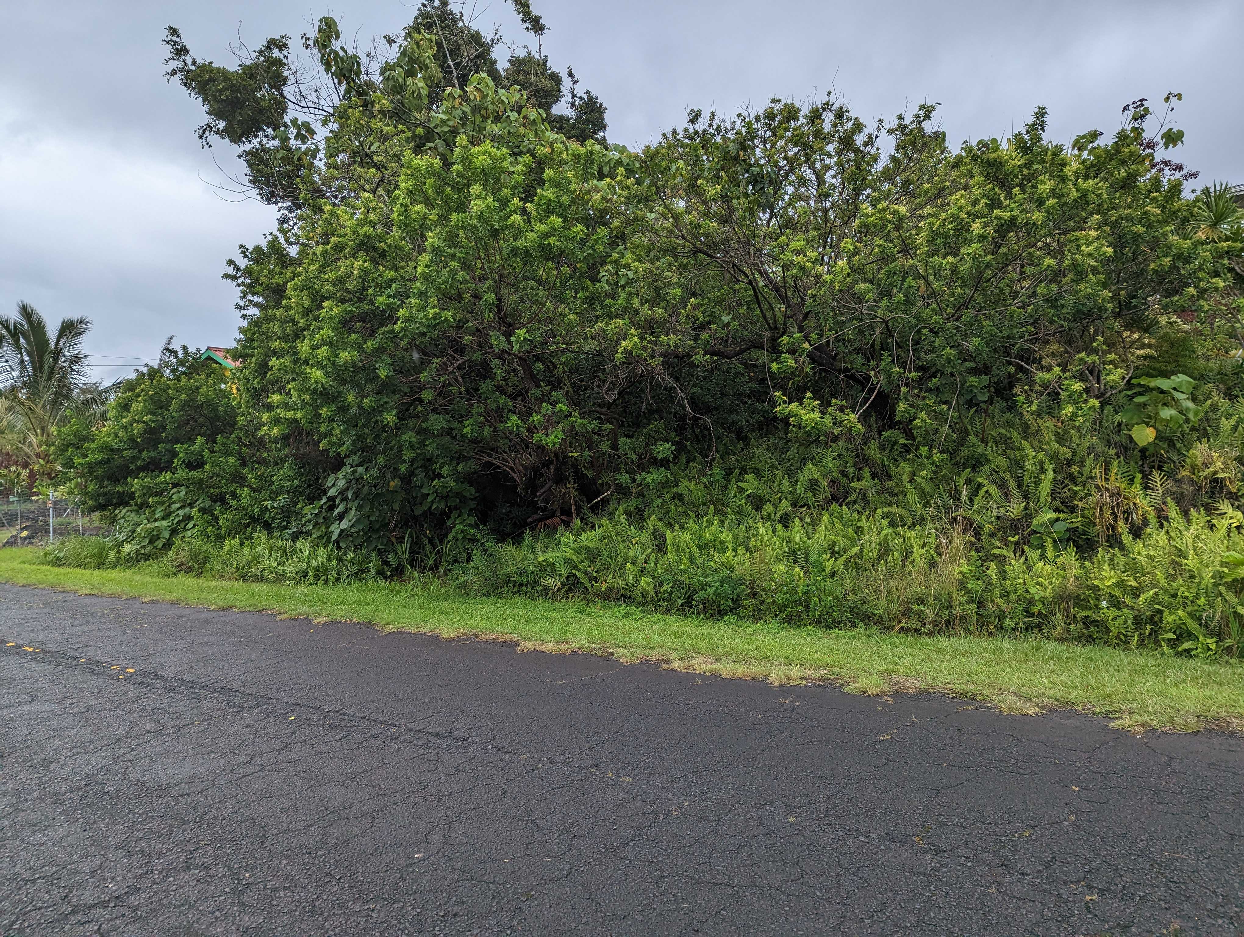 E MOANAULI LP, Pahoa, HI 96778