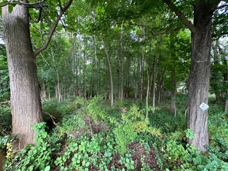 L1101 Fairfield Ave, West Caldwell Twp., NJ 07006