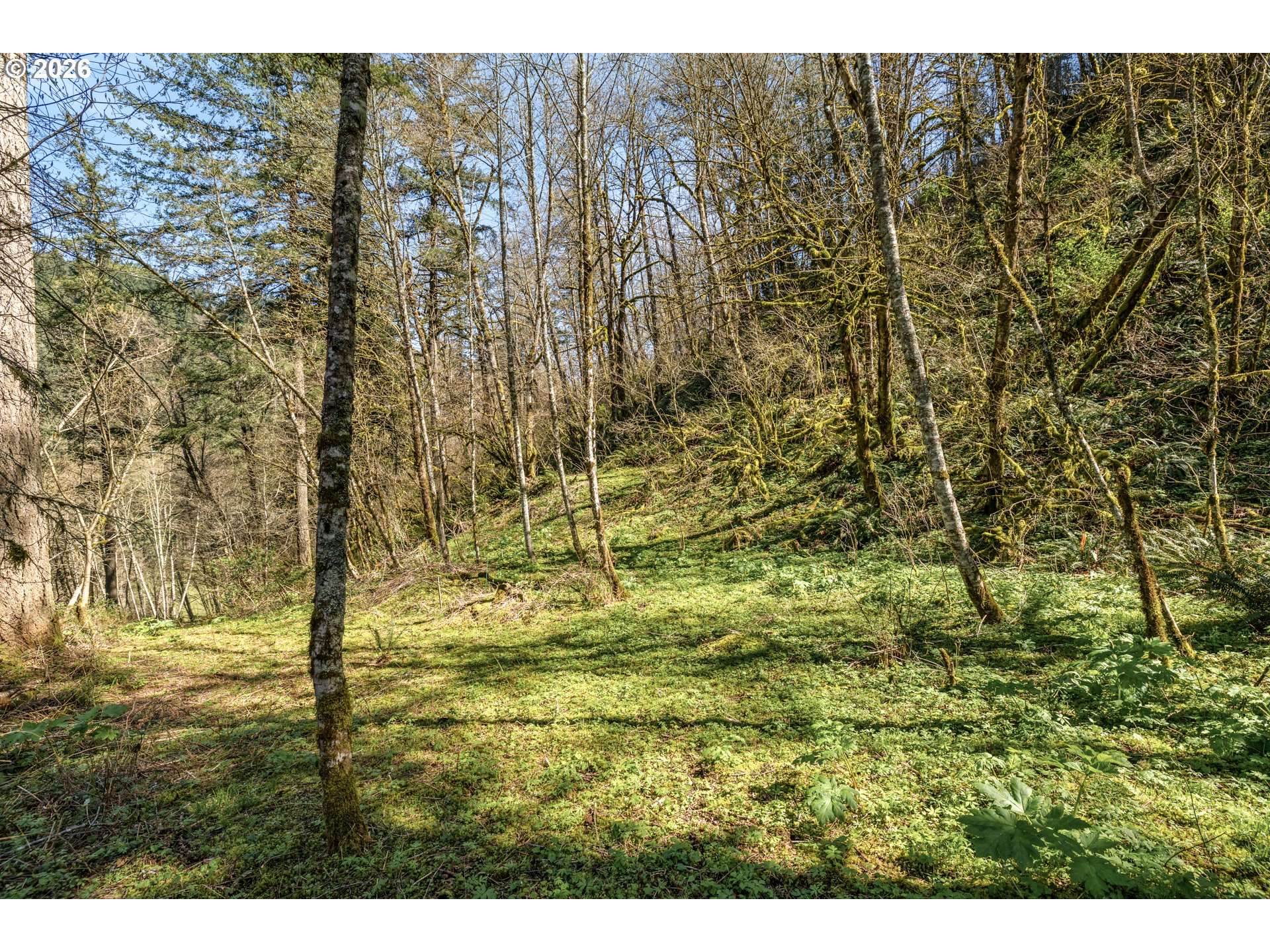 35034 NE 5TH ST, Washougal, WA 98671