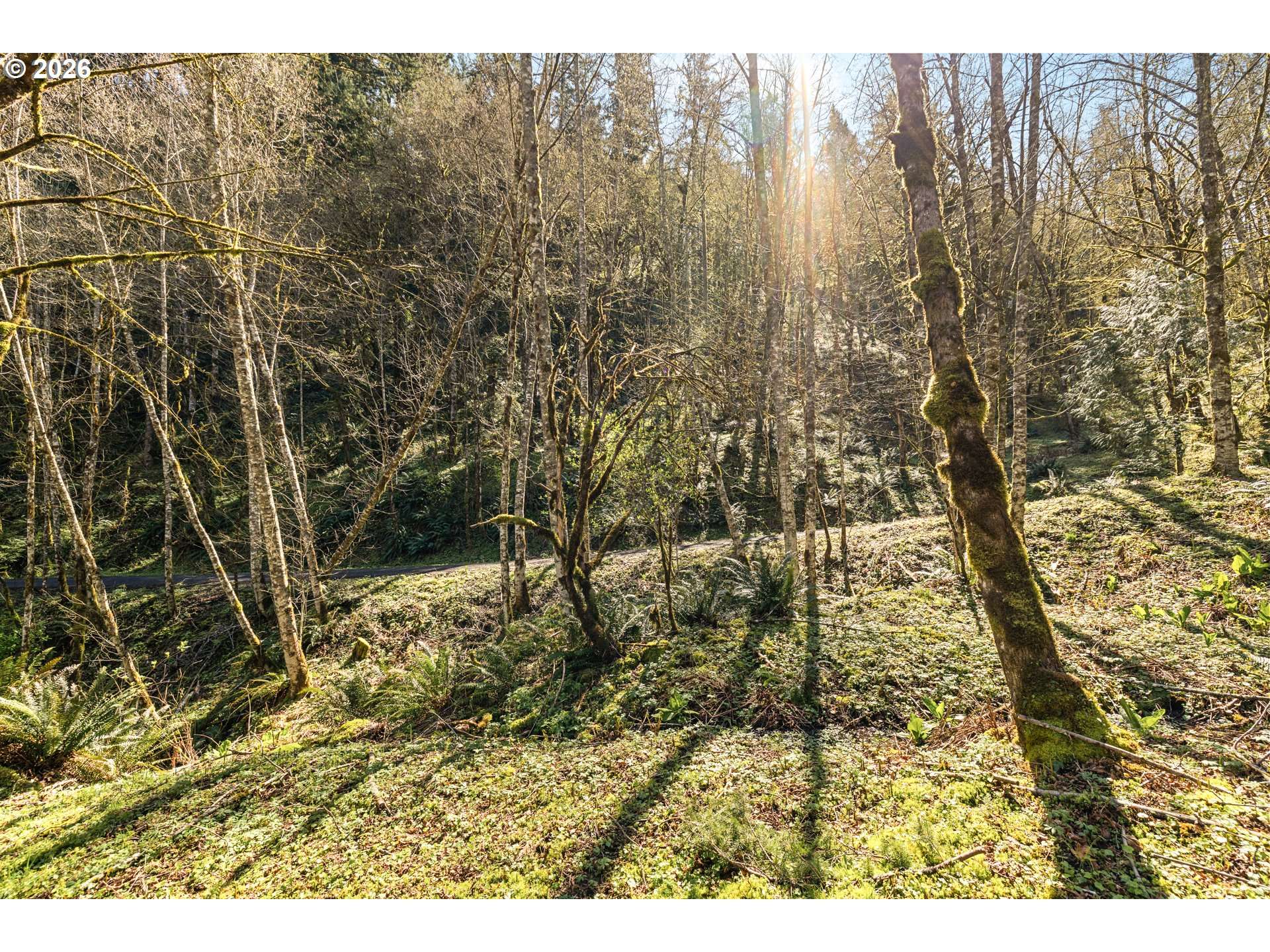 NE 5TH ST, Washougal, WA 98671