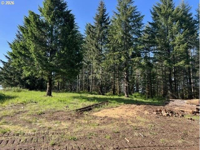 NW Lodge RD, Banks, OR 97106