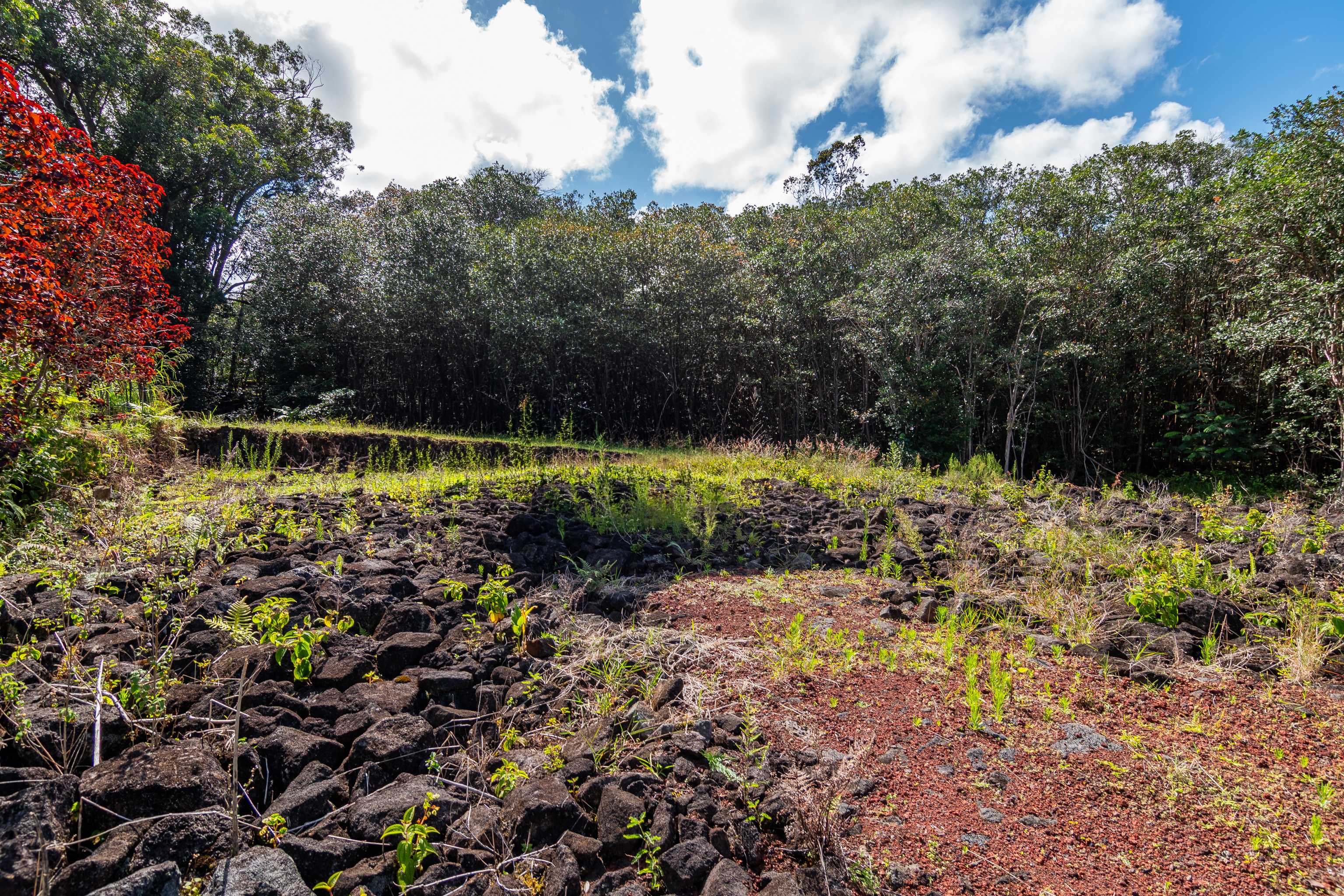 AKOLEA ROAD, Hilo, HI 96720