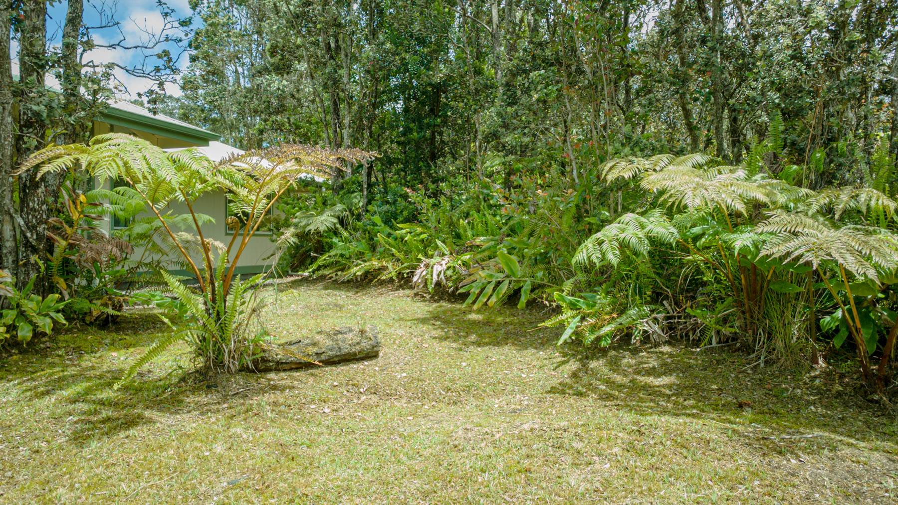 19-3150 MAMAKI LN, Volcano, HI 96785